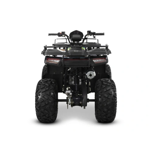 Квадроцикл SHARMAX 300 RX Activator