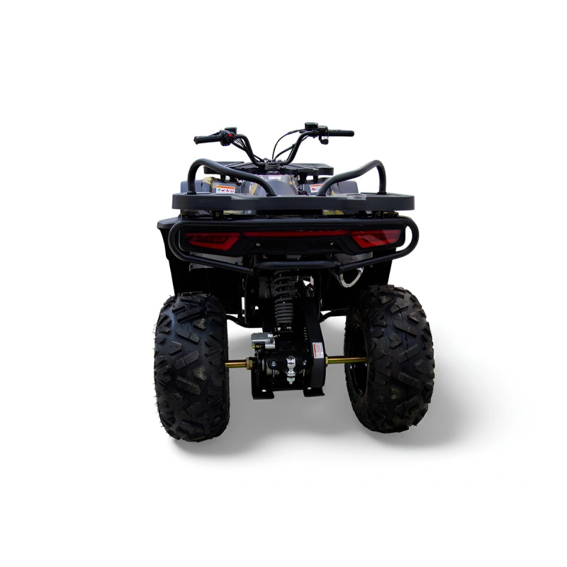 Квадроцикл MOTAX Grizlik W200