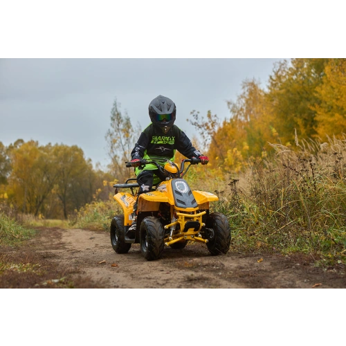 Квадроцикл SHARMAX 130 Cross