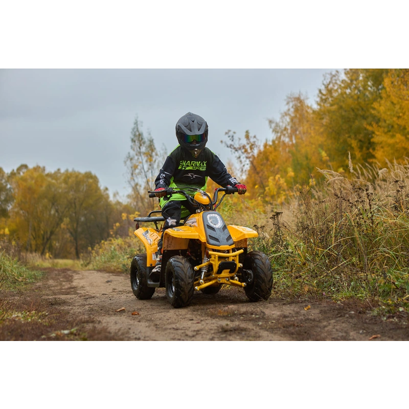 Квадроцикл SHARMAX 130 Cross