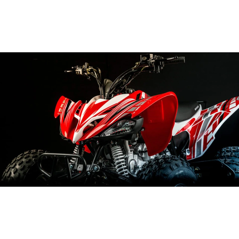 Квадроцикл MOTOLAND 250S