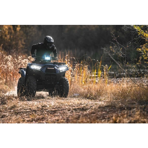 Квадроцикл KAWASAKI Brute Force 750 EPS (2024) (ПСМ)