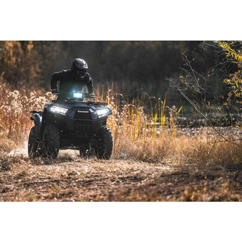Квадроцикл KAWASAKI Brute Force 750 EPS (2024) (ПСМ)