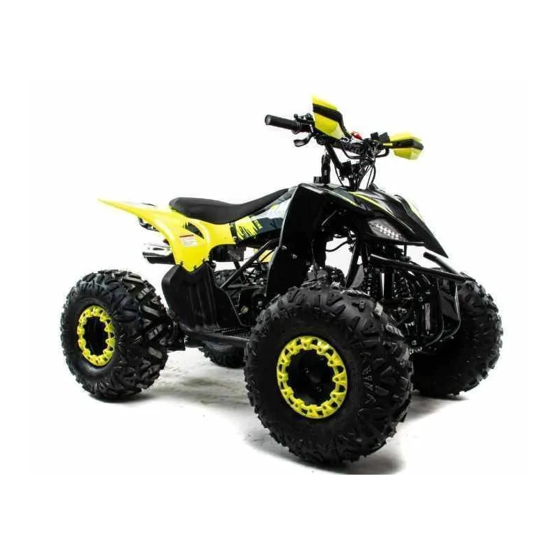 Квадроцикл MOTOLAND 125 Raptor