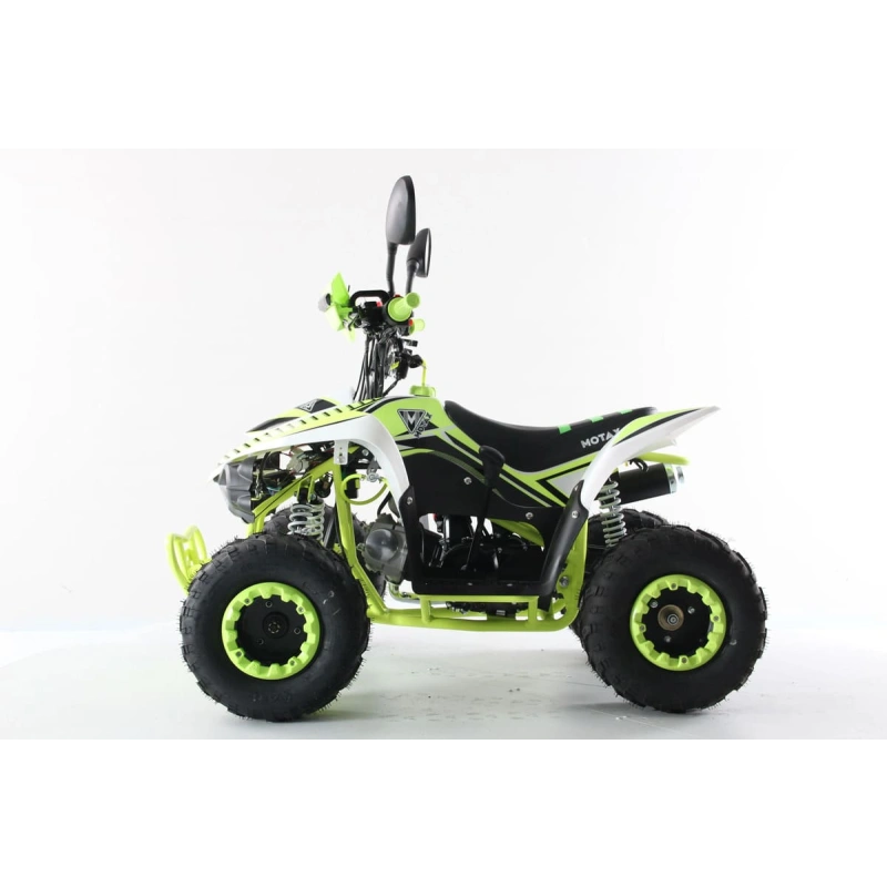 Квадроцикл MOTAX Mikro 110 New