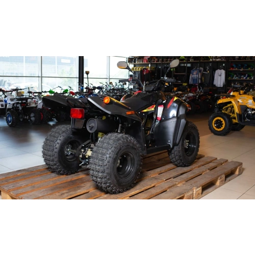 Квадроцикл STELS ATV 110A Hugo