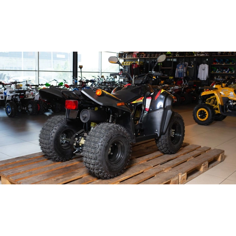 Квадроцикл STELS ATV 110A Hugo