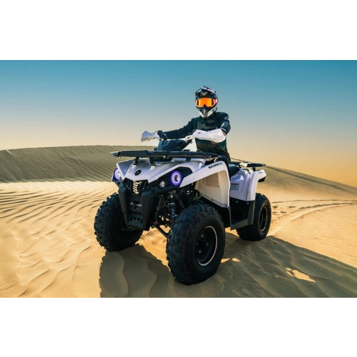 Квадроцикл SHARMAX Hummer 300