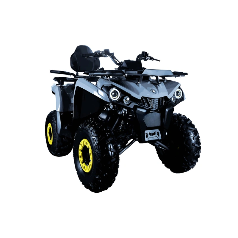 Квадроцикл AVANTIS Forester Long 200 Basic