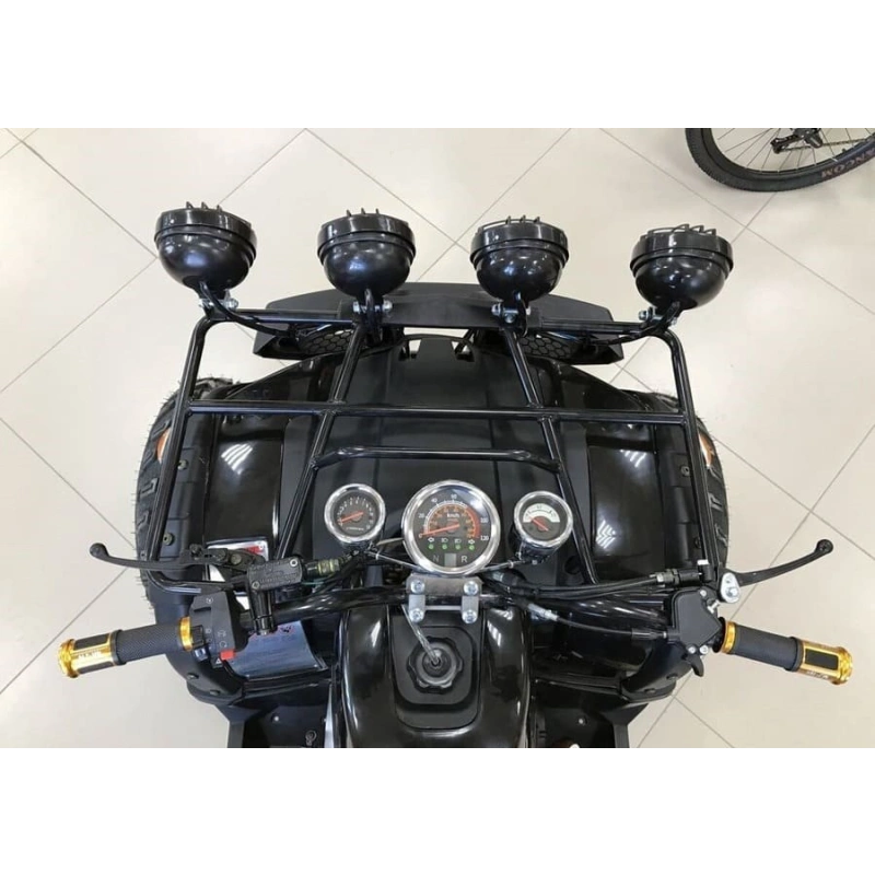 Квадроцикл RAPTOR Max Pro 250 (жёлтый/чёрный) (2024)