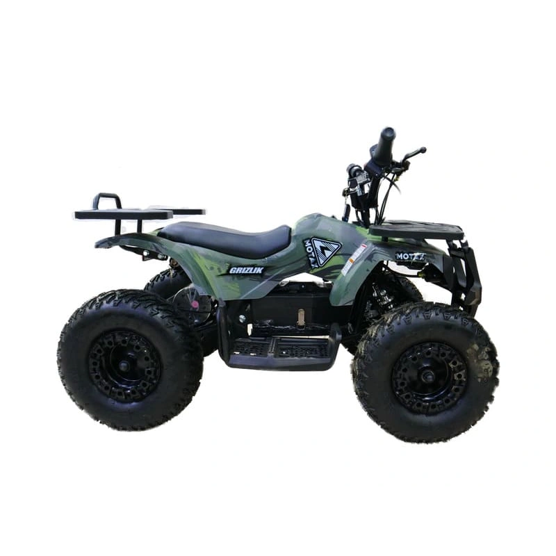 Электроквадроцикл MOTAX Grizlik X16 New E1000 Big Wheel
