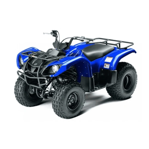 Квадроцикл GRIZZLY 125