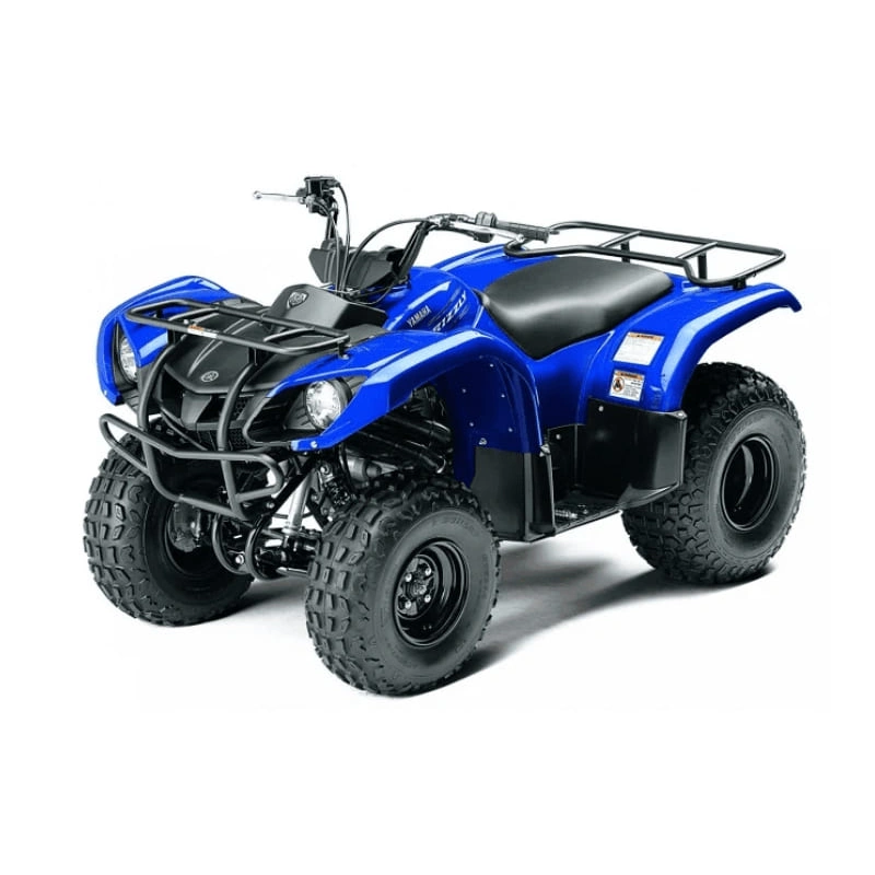 Квадроцикл GRIZZLY 125