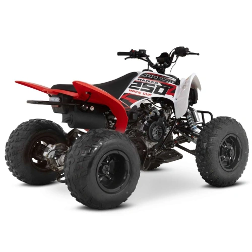Квадроцикл SHARMAX Raizer Race Cup 250