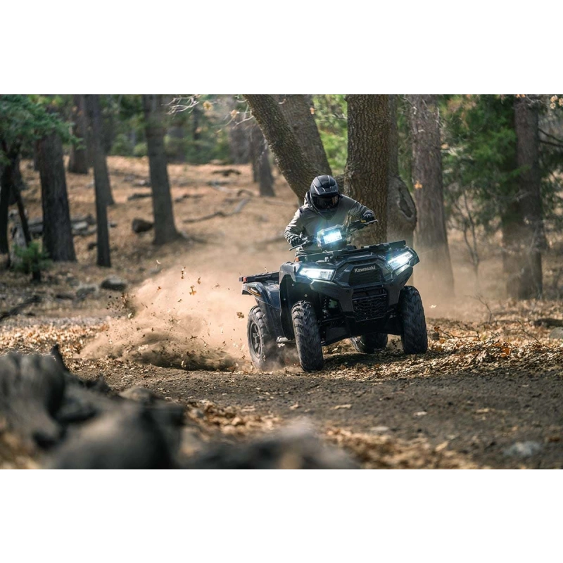 Квадроцикл KAWASAKI Brute Force 750 EPS (2024) (ПСМ)