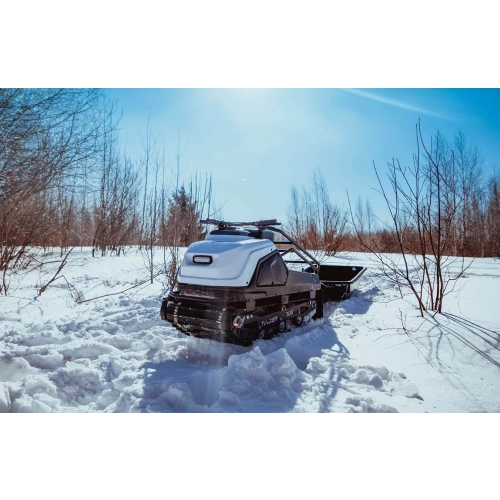 Мотобуксировщик TINGER Dog 13.5 л.с.