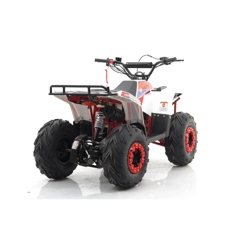 Квадроцикл MOTAX Grizlik A110