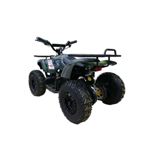Электроквадроцикл MOTAX Grizlik X16 New E1000 Big Wheel