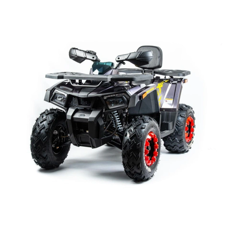 Квадроцикл MOTOLAND 200 Wild Track X Pro (2022)