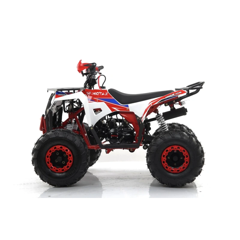 Квадроцикл MOTAX Grizlik A125