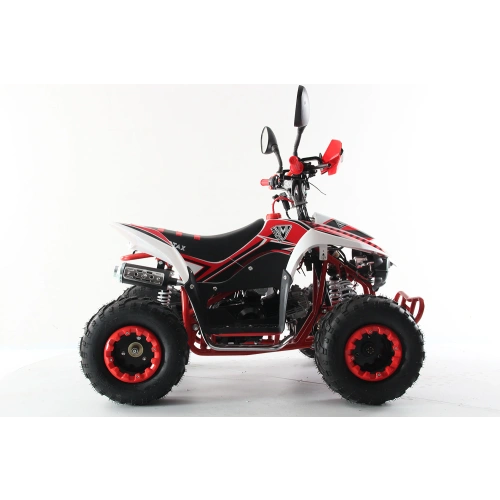 Квадроцикл MOTAX ATV Mikro 110cc