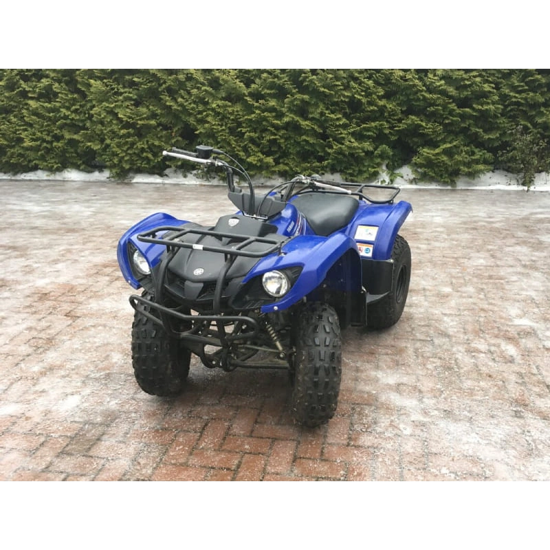 Квадроцикл GRIZZLY 125