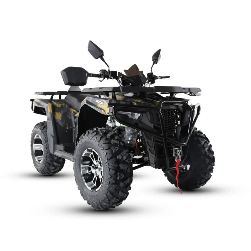 Квадроцикл MOTAX Grizlik 300