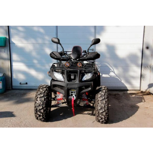 Квадроцикл GRIZZLY 250
