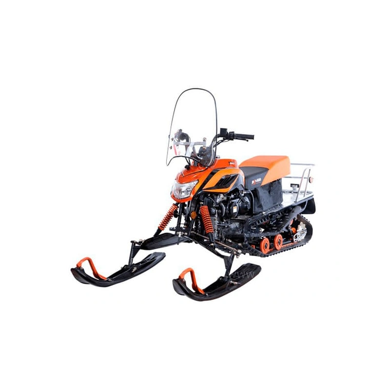 Снегоход IRBIS Dingo T200