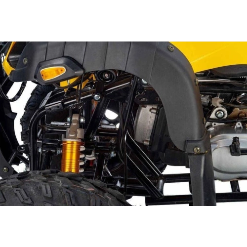 Квадроцикл RAPTOR Max Pro 250 (жёлтый/чёрный) (2024)
