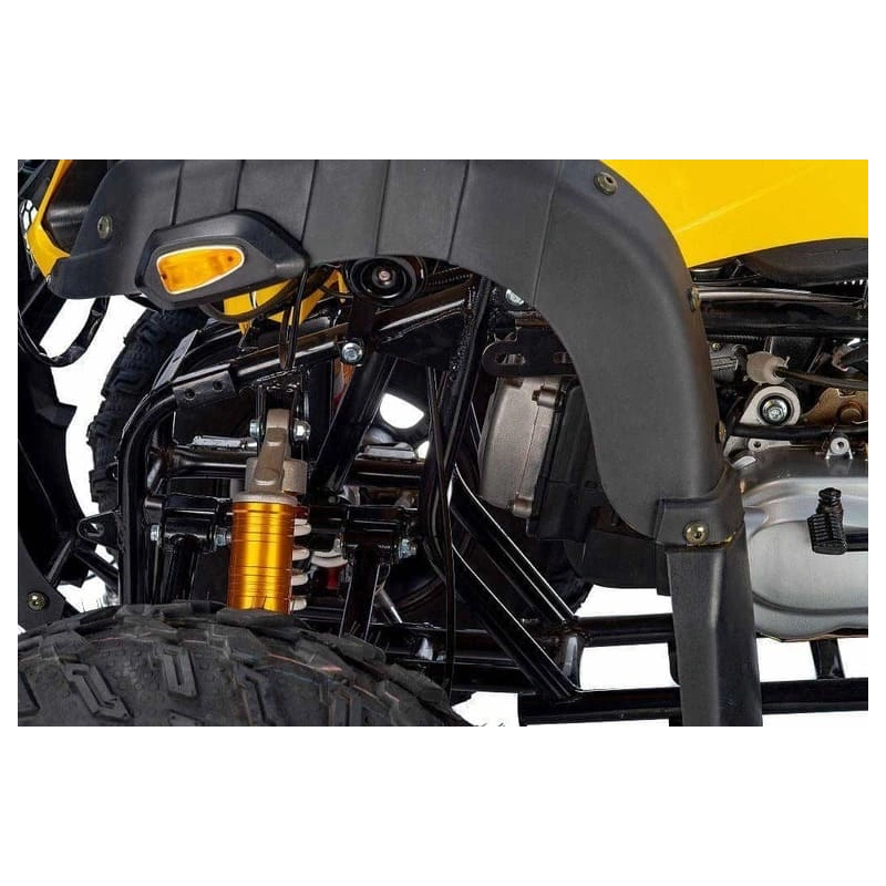 Квадроцикл RAPTOR Max Pro 250 (жёлтый/чёрный) (2024)