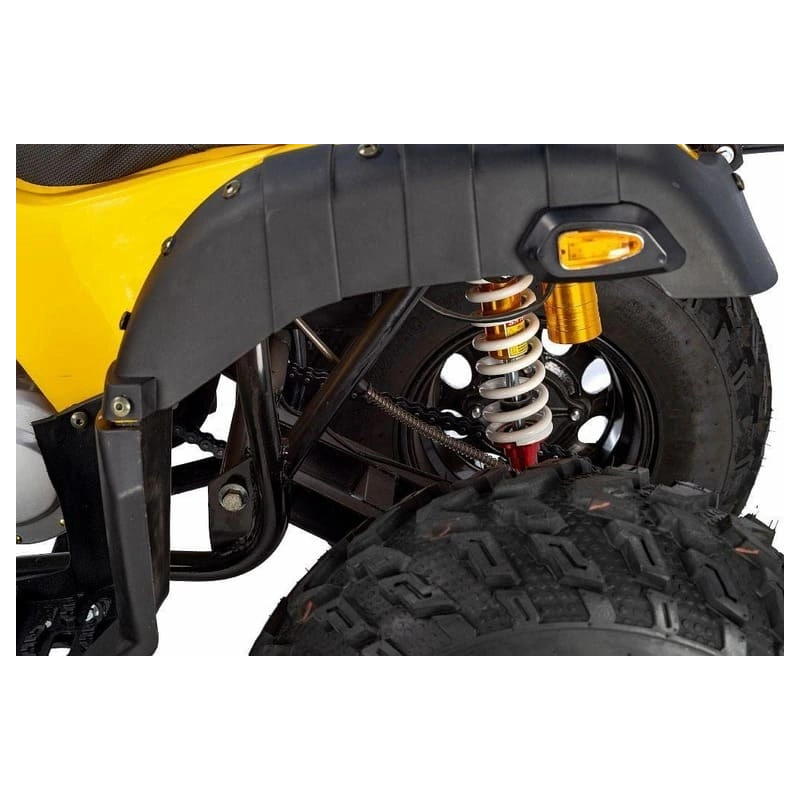 Квадроцикл RAPTOR Max Pro 250 (жёлтый/чёрный) (2024)