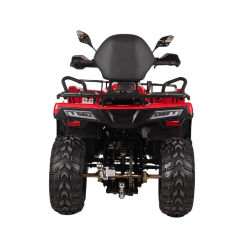 Квадроцикл BIZON YK250 Lux EFI