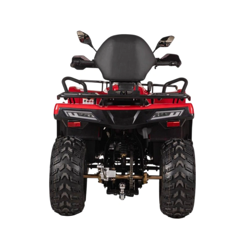 Квадроцикл BIZON YK250 Lux EFI
