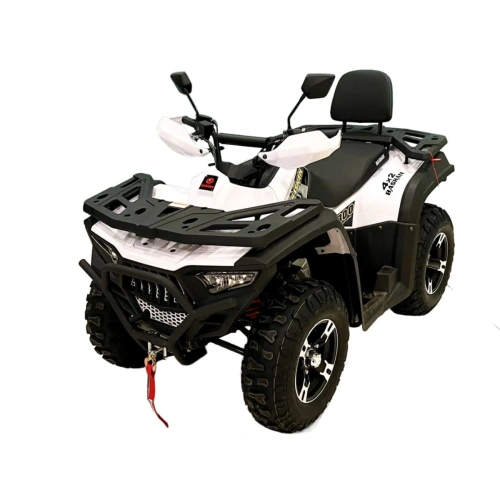 Квадроцикл BASHAN Explorer 300 Winch