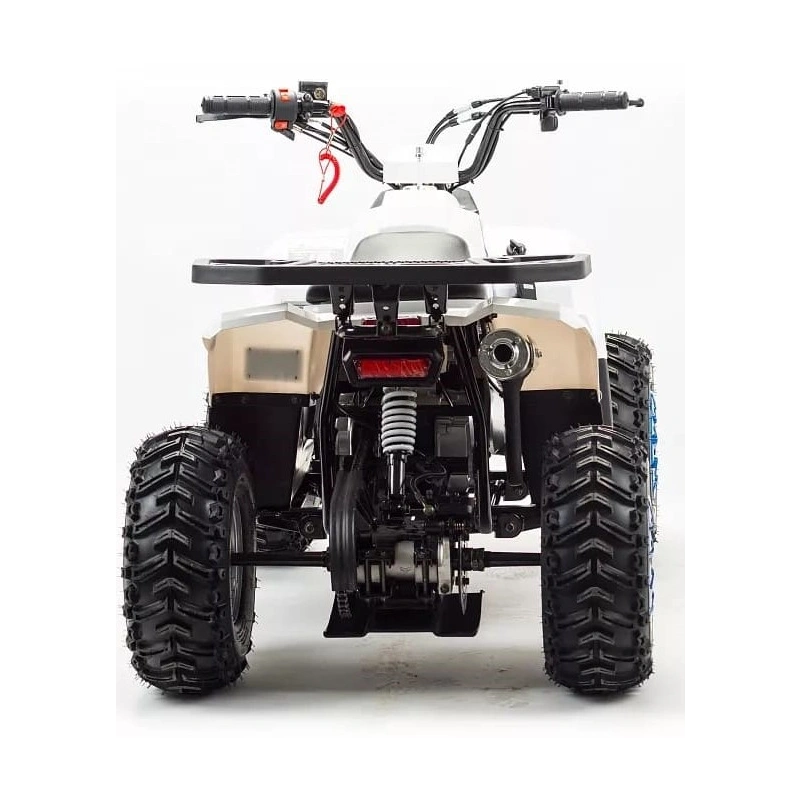 Квадроцикл MZ Eagle 110