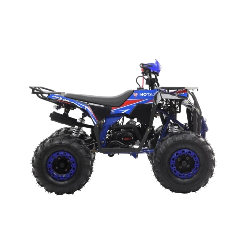 Квадроцикл MOTAX Grizlik A125