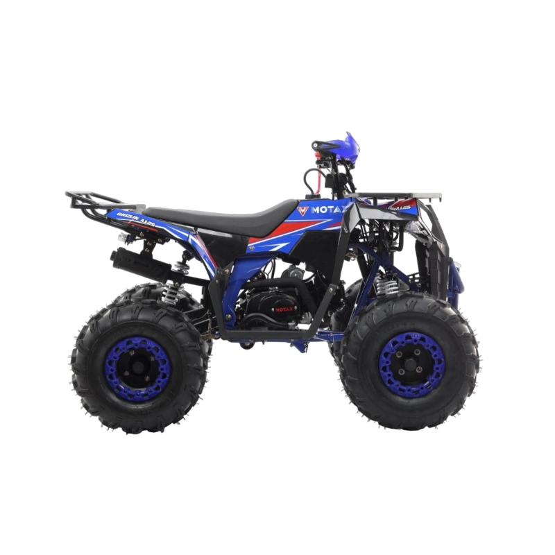 Квадроцикл MOTAX Grizlik A125