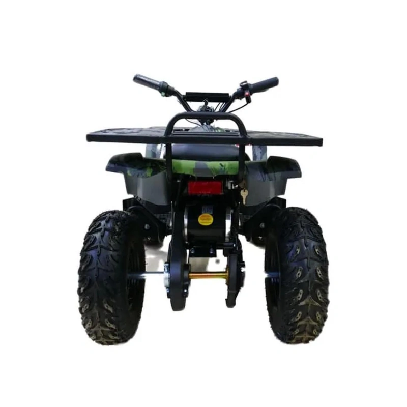 Электроквадроцикл MOTAX Grizlik X16 New E1000
