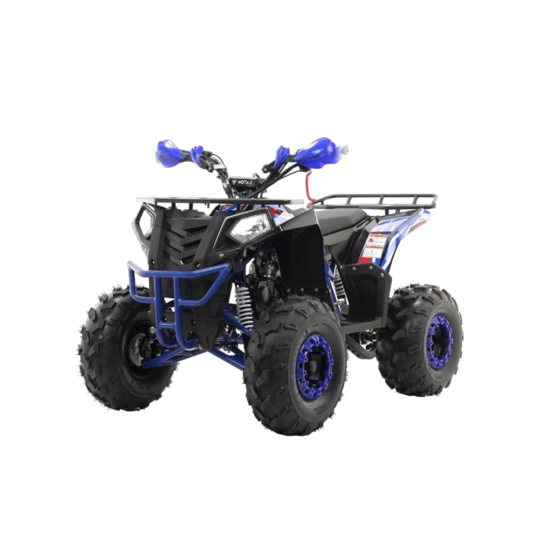 Квадроцикл MOTAX Grizlik A125