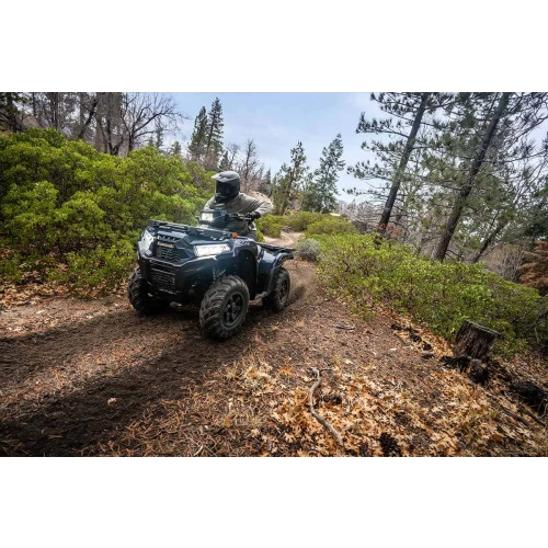 Квадроцикл KAWASAKI Brute Force 750 EPS (2024) (ПСМ)