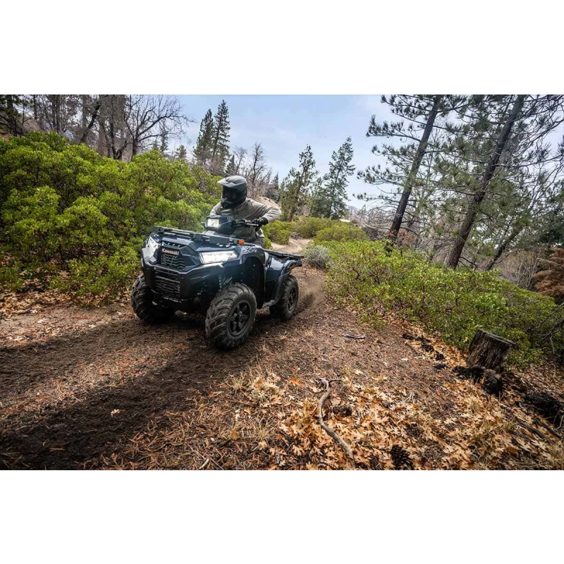 Квадроцикл KAWASAKI Brute Force 750 EPS (2024) (ПСМ)