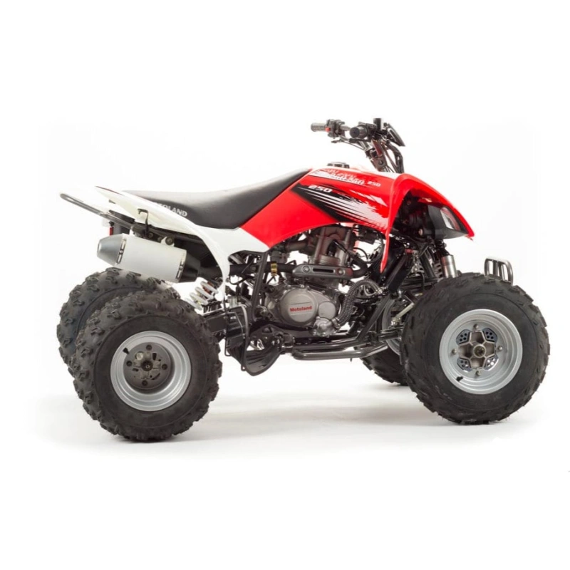 Квадроцикл MOTOLAND 125S (2020 Г.)