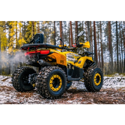 Квадроцикл WELS Thunder Trail 125 Pro