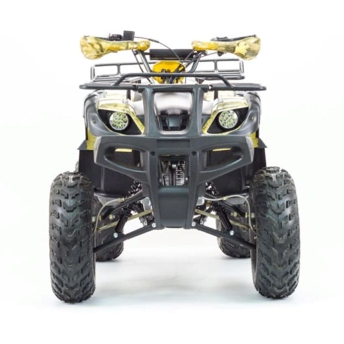 Квадроцикл MOTOLAND 250 Adventure (2021 Г.)