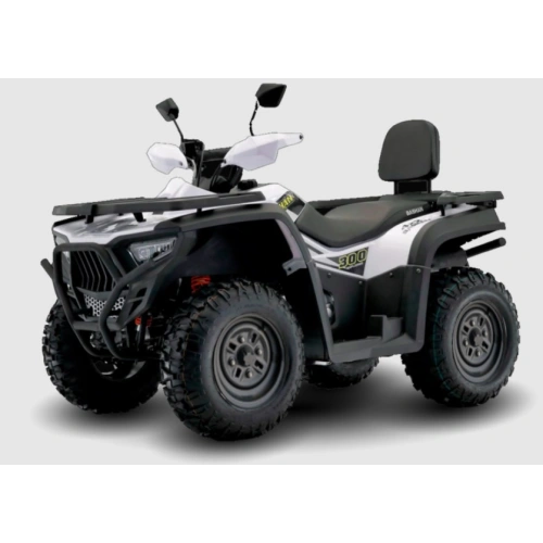 Квадроцикл BASHAN Kardan 300 Basic