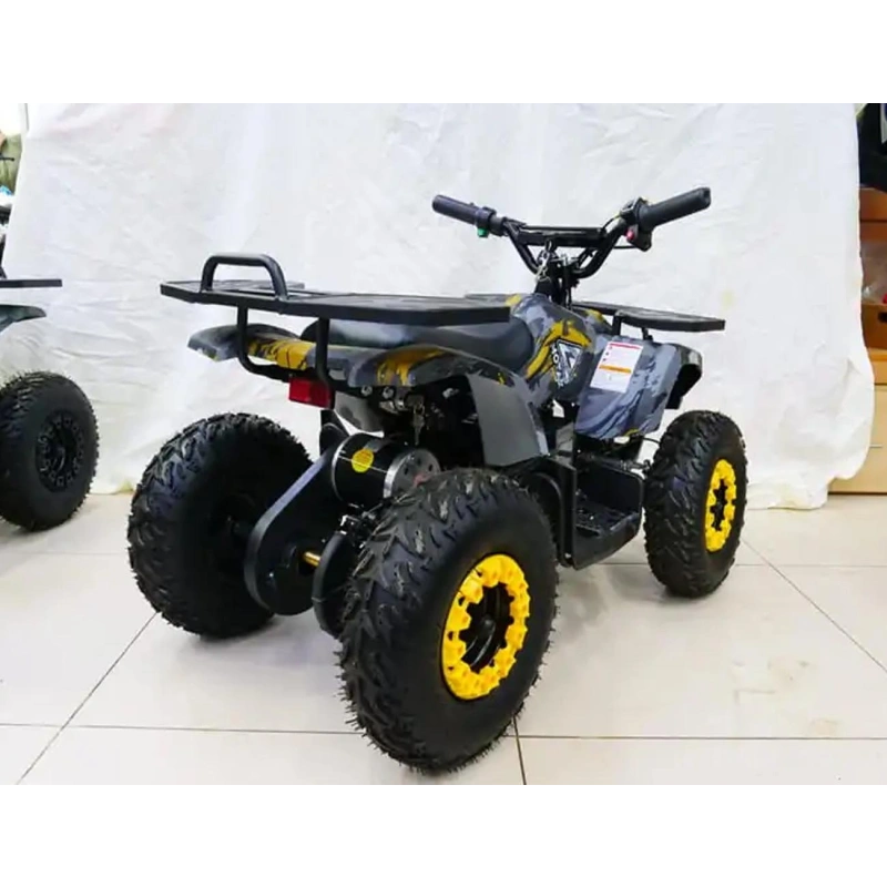 Электроквадроцикл MOTAX Grizlik X16 New E1000