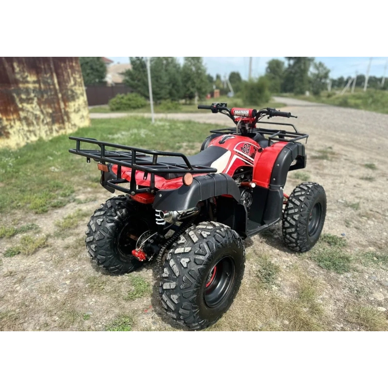 Квадроцикл RAPTOR Madman 200 All