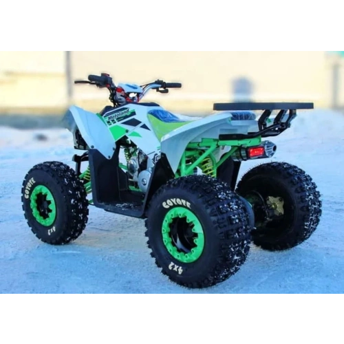 Квадроцикл MOTOLAND 125 Coyote (2021 Г.)
