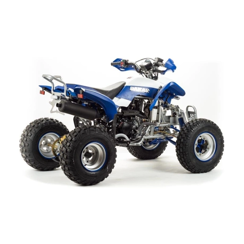 Квадроцикл MOTOLAND 250 Dakar